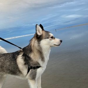 Meet your Posher, Kaylee